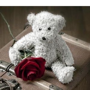 Meet your Posher, Teresa